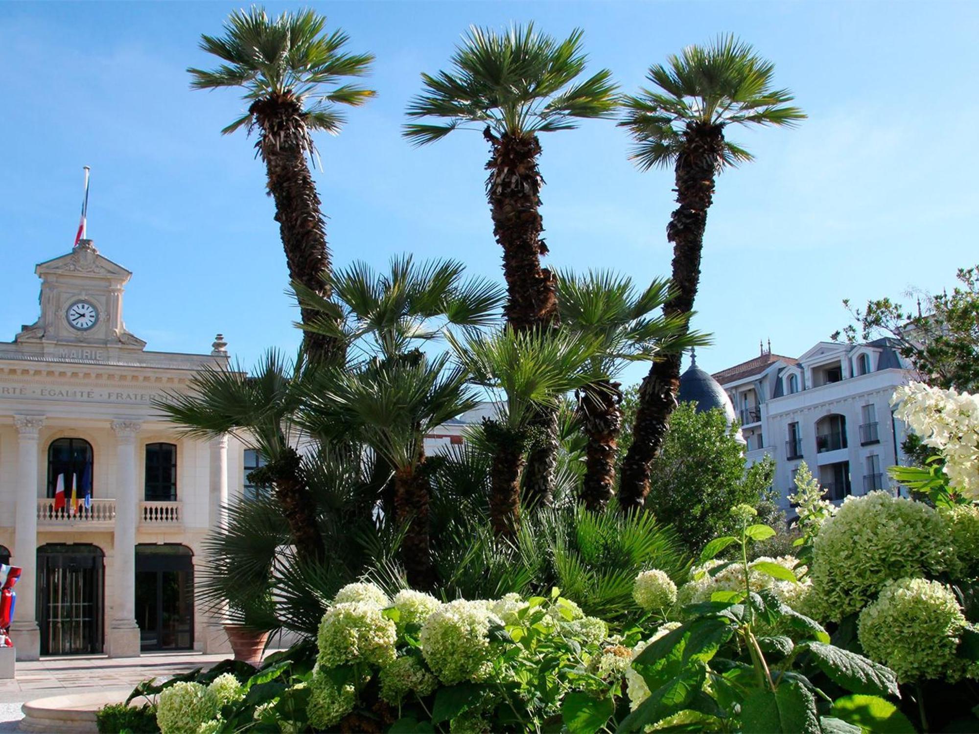 Appartement Proche Plage & Casino Avec Balcon Et Parking Prive, Arcachon - Fr-1-319-110 エクステリア 写真